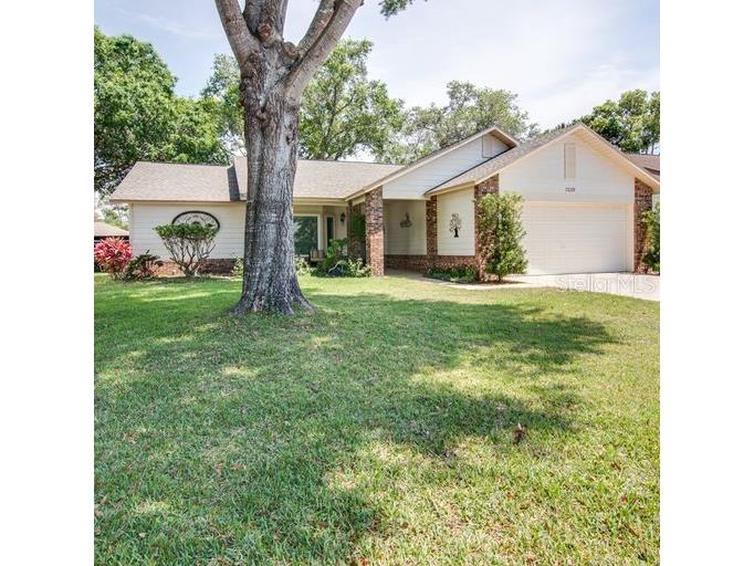 7239 Big Bend Drive Spring Hill FL 34606 L4936200 image1