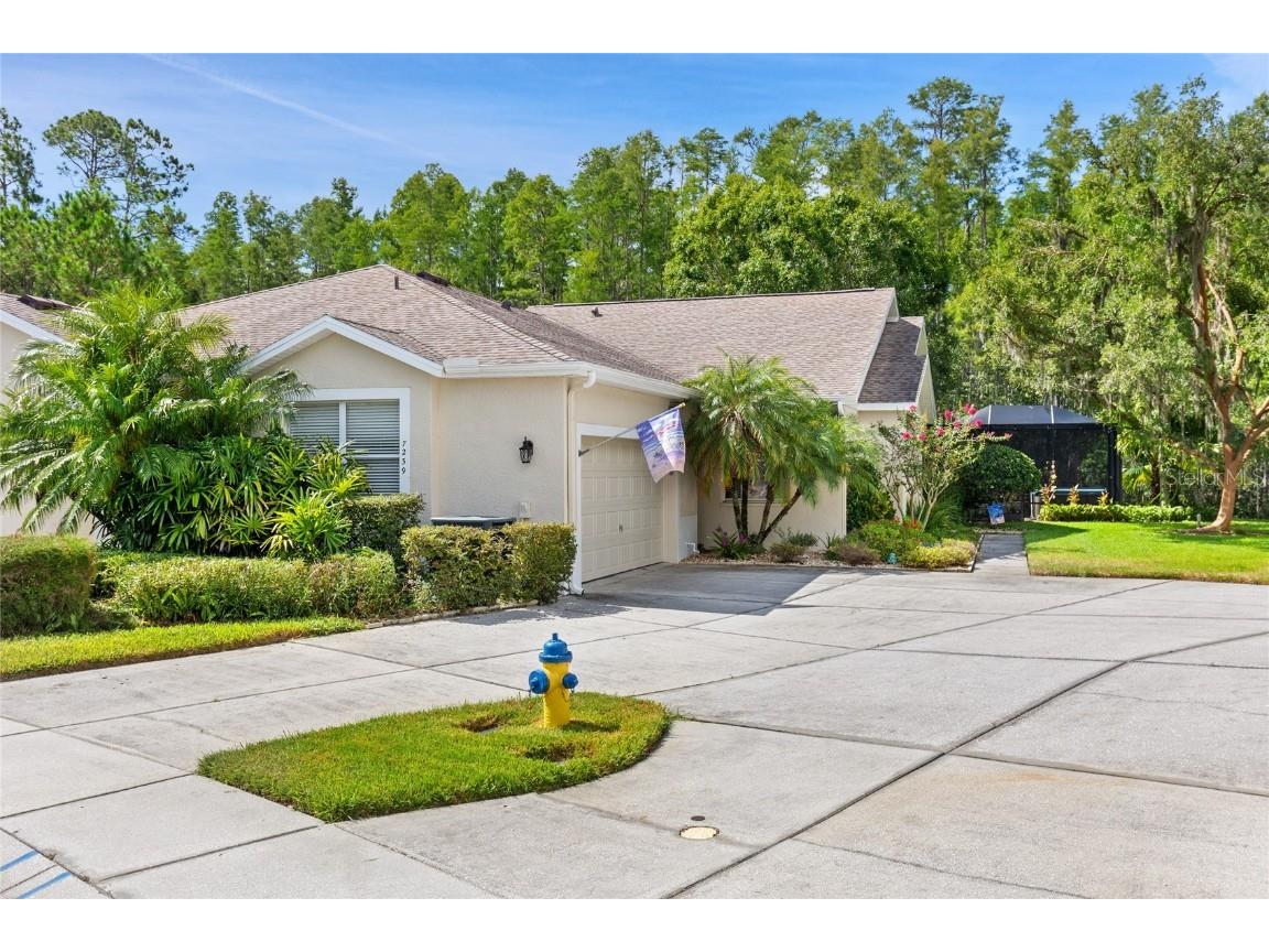 7239 Cleopatra Drive Land O Lakes FL 34637 W7877896 image1