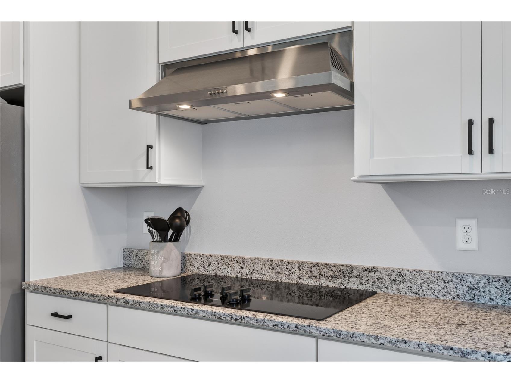 7239 Ivy Tendril Avenue Orlando FL 32829 O6411160 image10