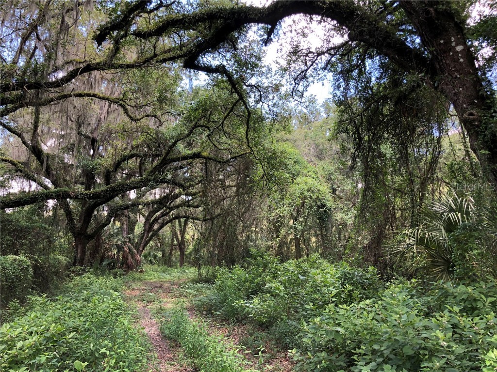 7239 S County Line Road Plant City FL 33567 TB8404001 image1