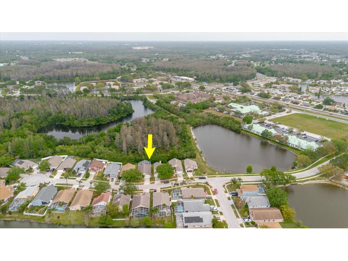 7239 Sharpsburg Boulevard New Port Richey FL 34653 W7873700 image6