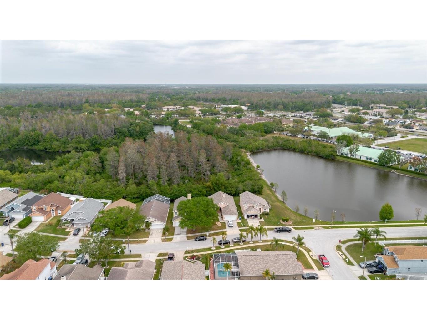 7239 Sharpsburg Boulevard New Port Richey FL 34653 W7873700 image76