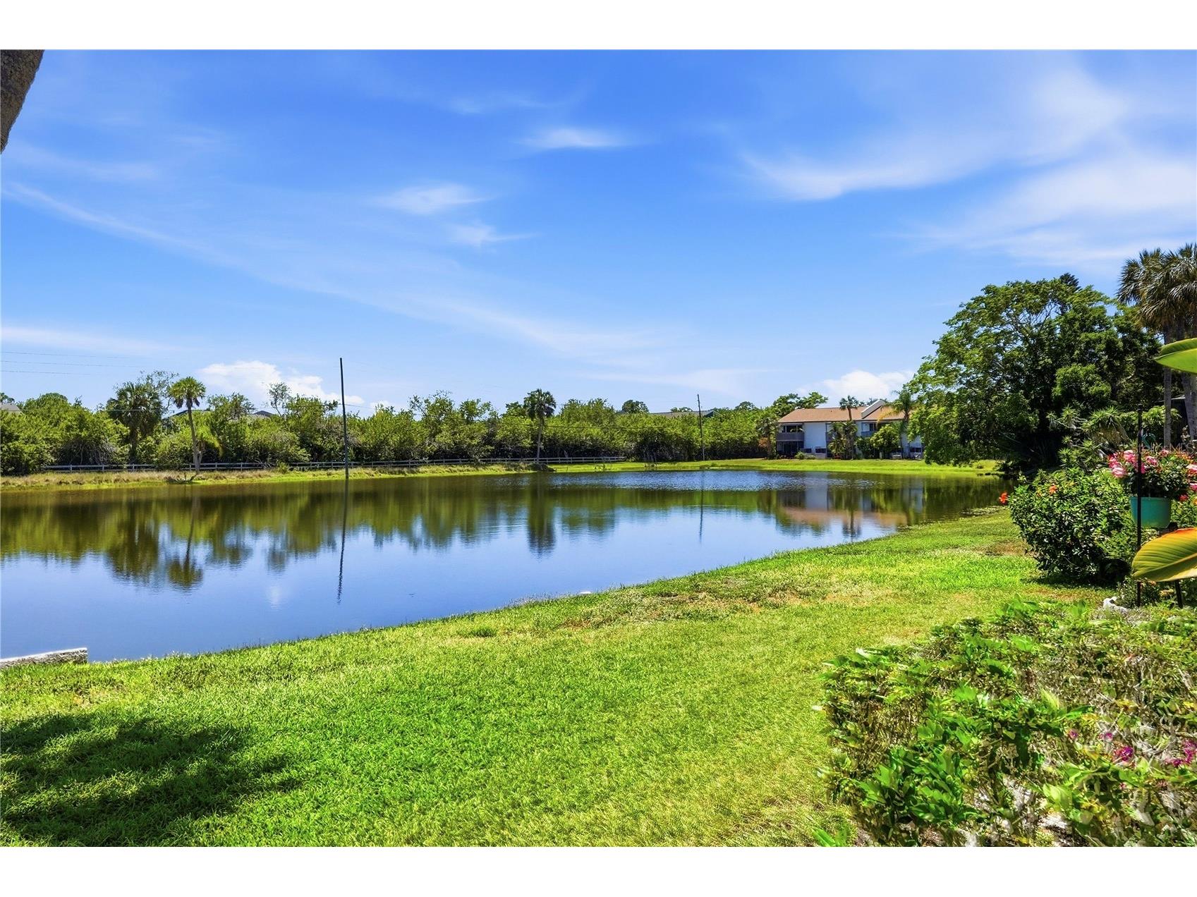 724 115 Avenue N #2205 Saint Petersburg FL 33716 TB8503810 image21
