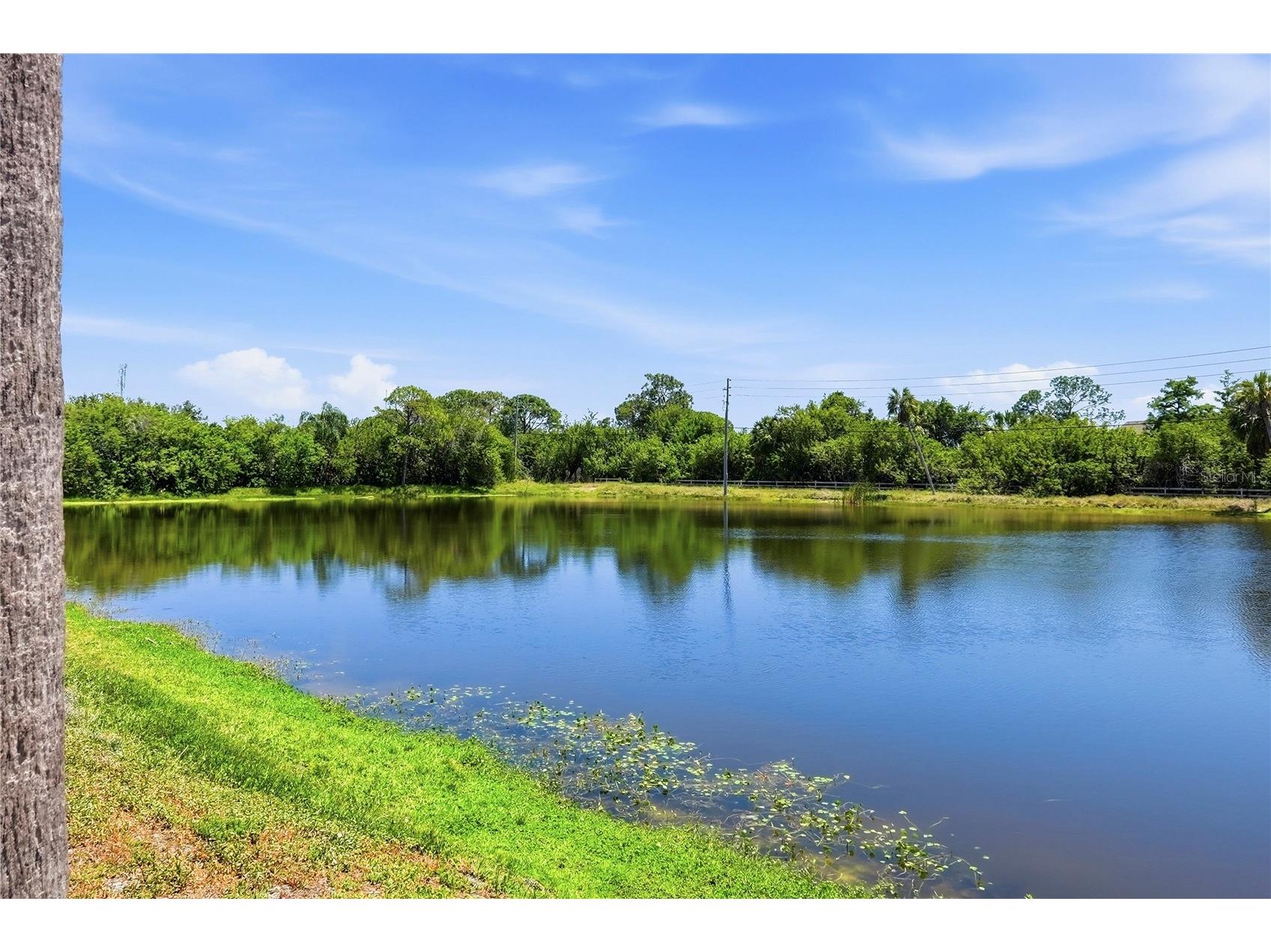 724 115 Avenue N #2205 Saint Petersburg FL 33716 TB8503810 image22