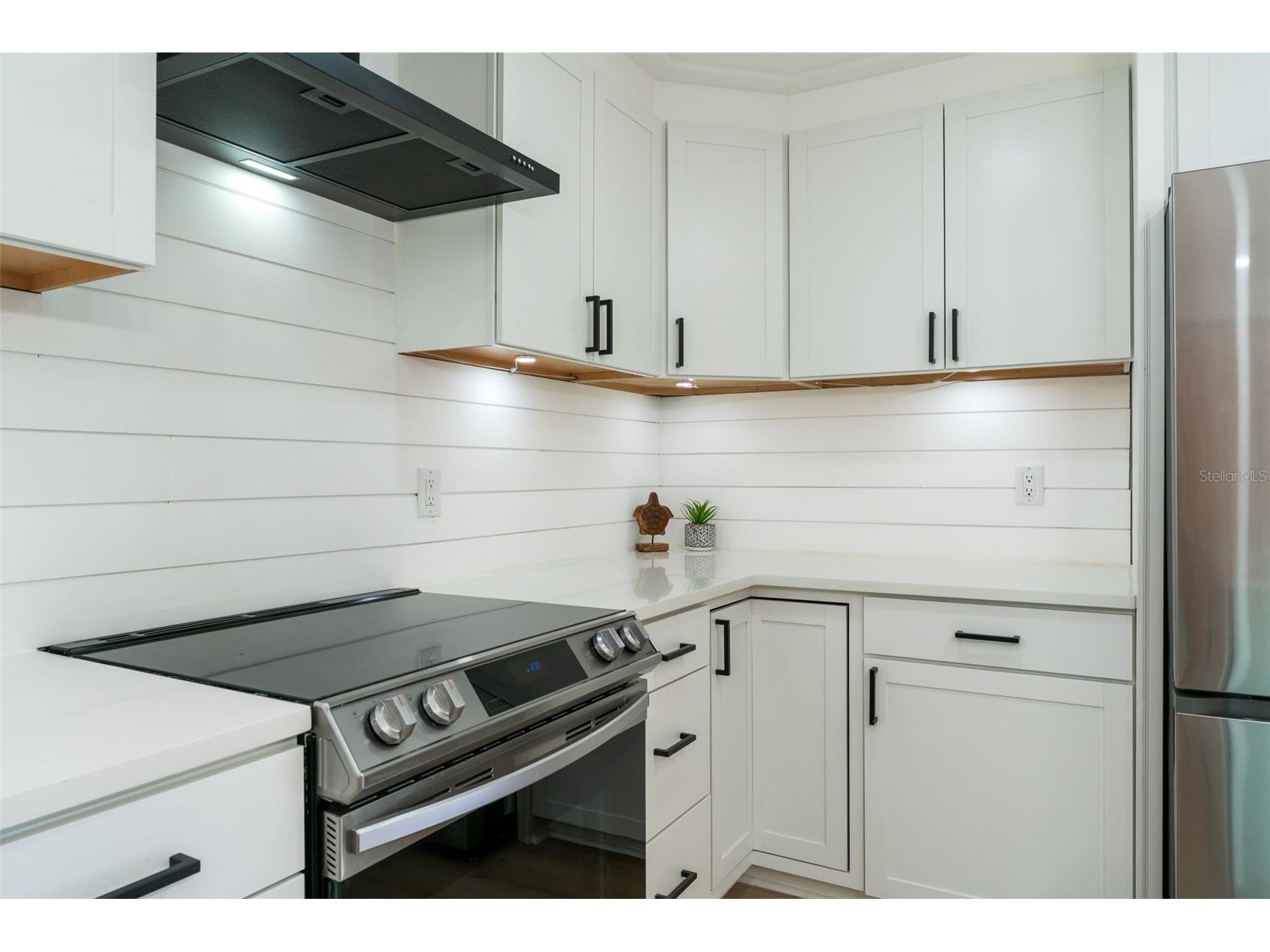 724 115th Avenue N #2202 Saint Petersburg FL 33716 A4679078 image19