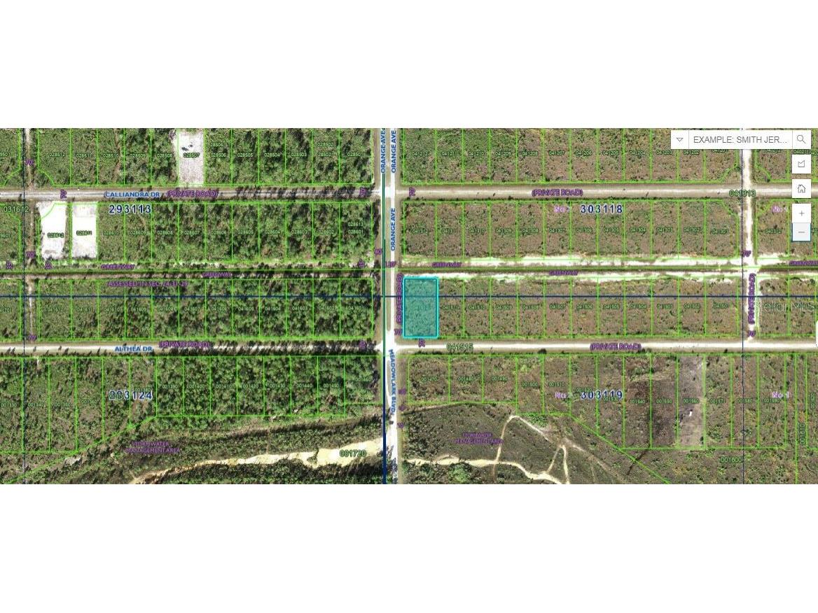 724 Althea Drive Indian Lake Estates FL 33855 O6272132 image1