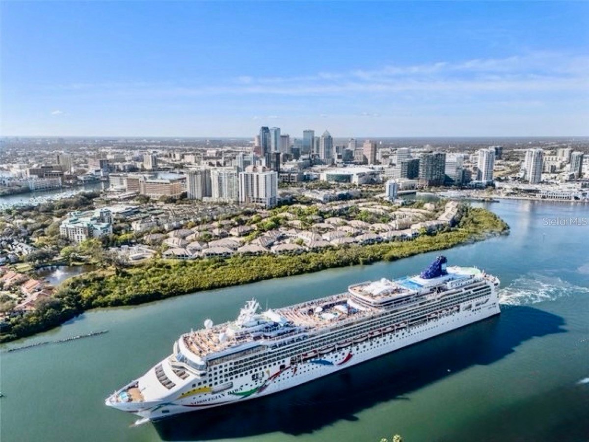 724 Coral Reef Drive Tampa FL 33602 - GARRISON CHANNEL TB8520365 image3