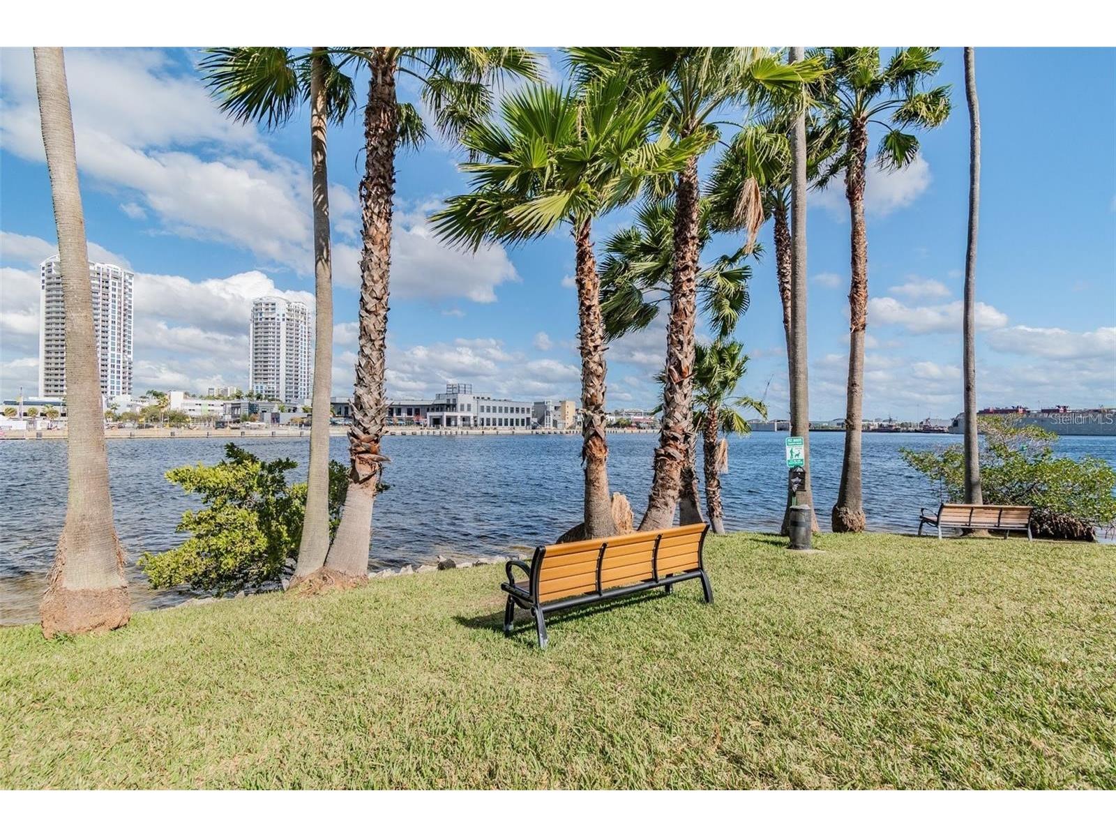 724 Coral Reef Drive Tampa FL 33602 - GARRISON CHANNEL TB8520365 image45