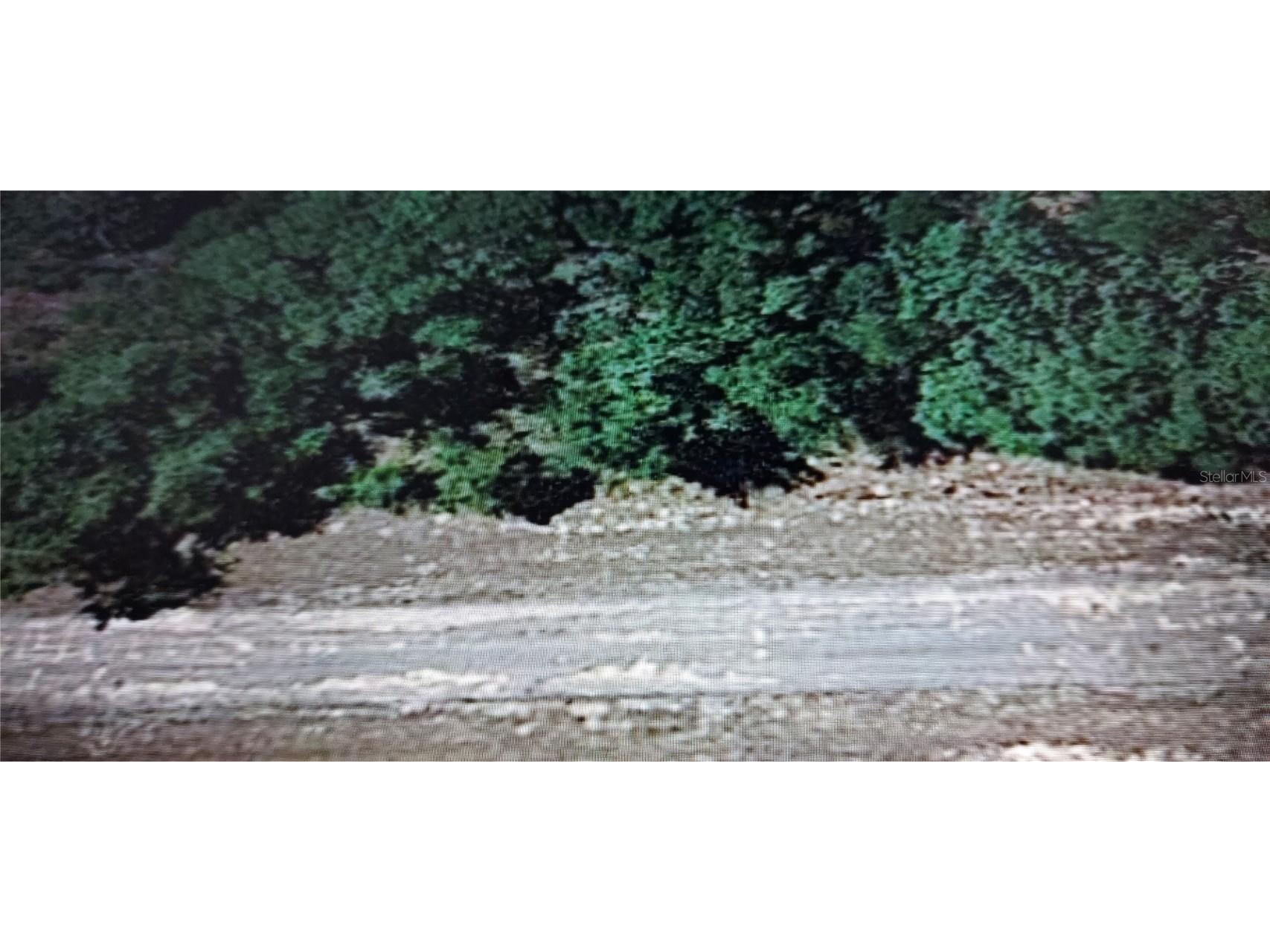 724 E Malaga Lane Citrus Springs FL 34434 W7845349 image1