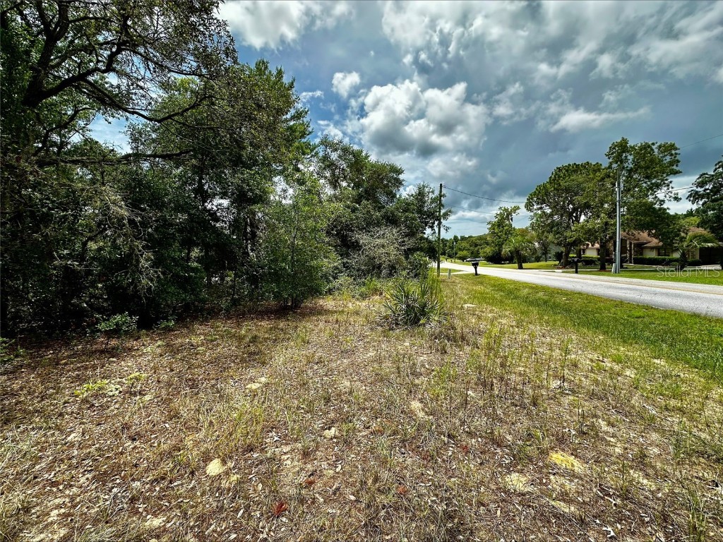 724 E Savoy Street Lecanto FL 34461 U8248681 image1