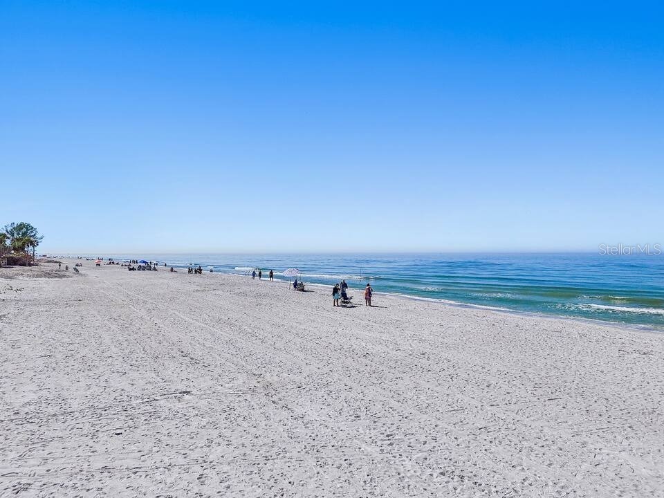 724 Gulf Boulevard Indian Rocks Beach FL 33785 TB8492544 image48