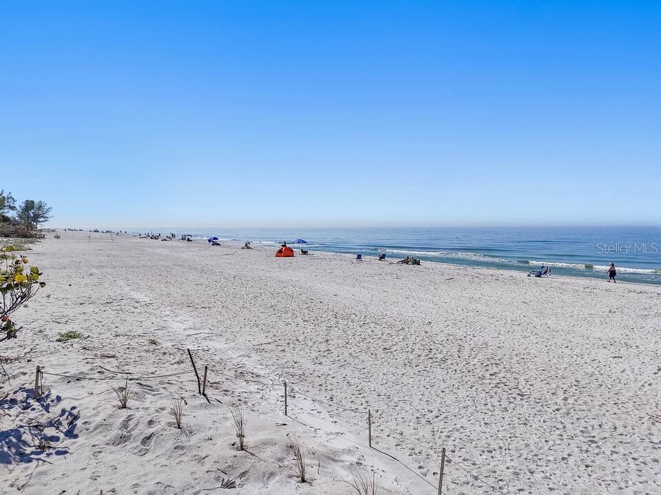 724 Gulf Boulevard Indian Rocks Beach FL 33785 TB8492544 image52