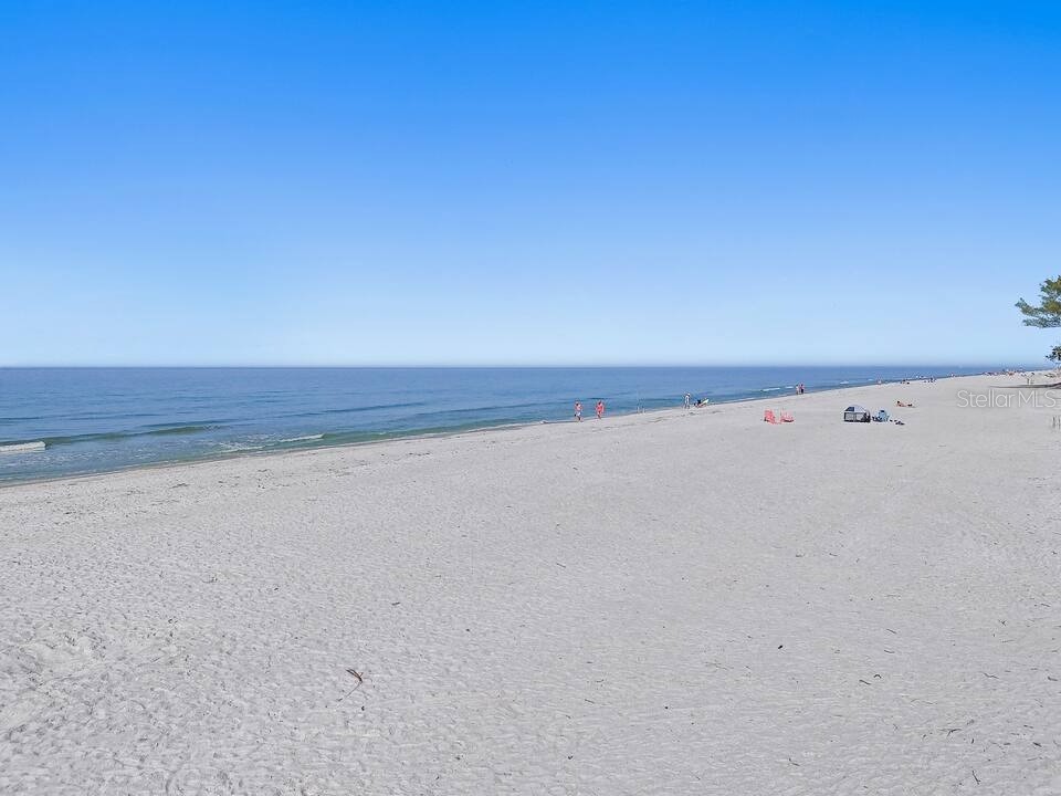 724 Gulf Boulevard Indian Rocks Beach FL 33785 TB8492544 image54