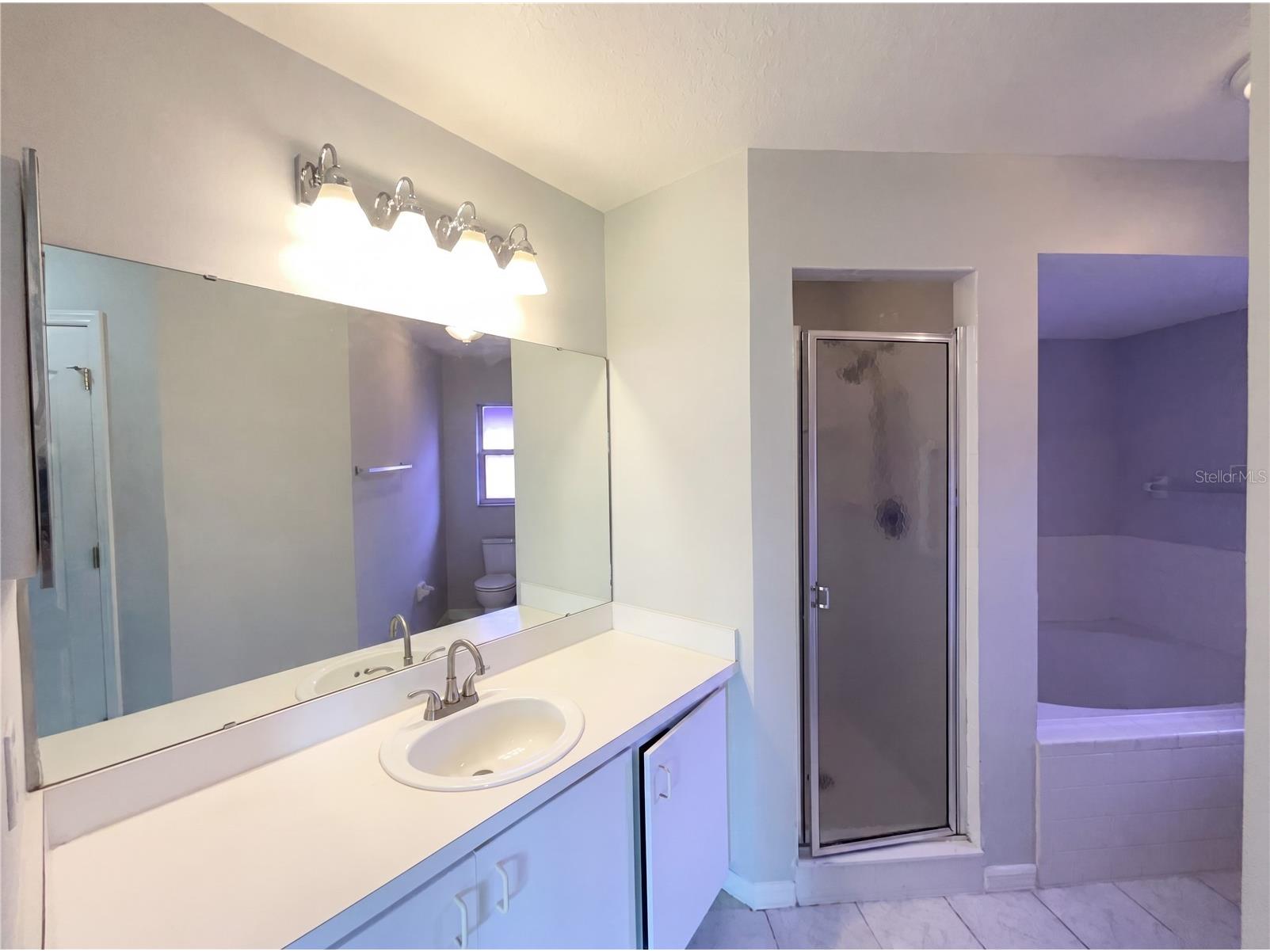 724 Harland Court Kissimmee FL 34758 O6412506 image23