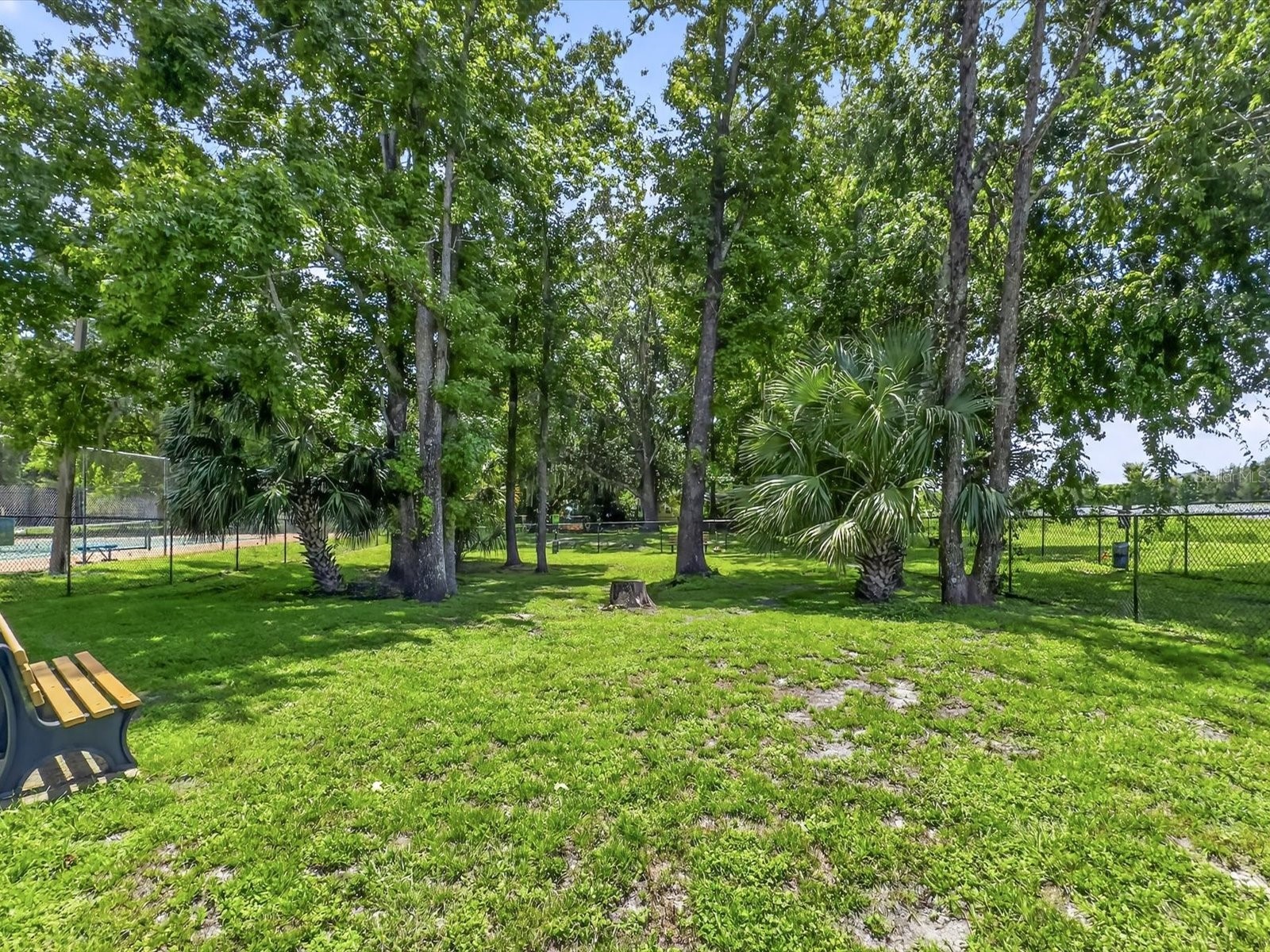 724 Lakeside Drive Winter Springs FL 32708 O6412679 image38