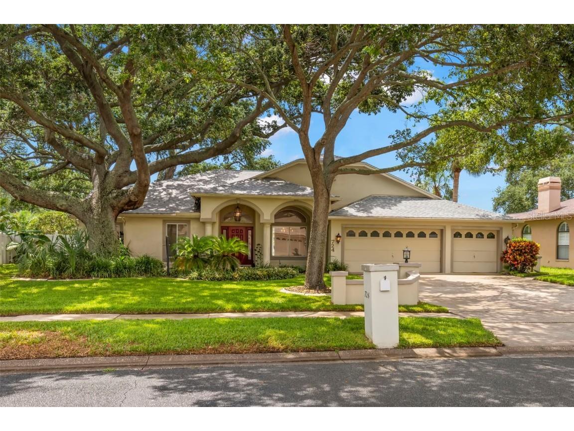 724 Litchfield Lane Dunedin FL 34698 T3536428 image1