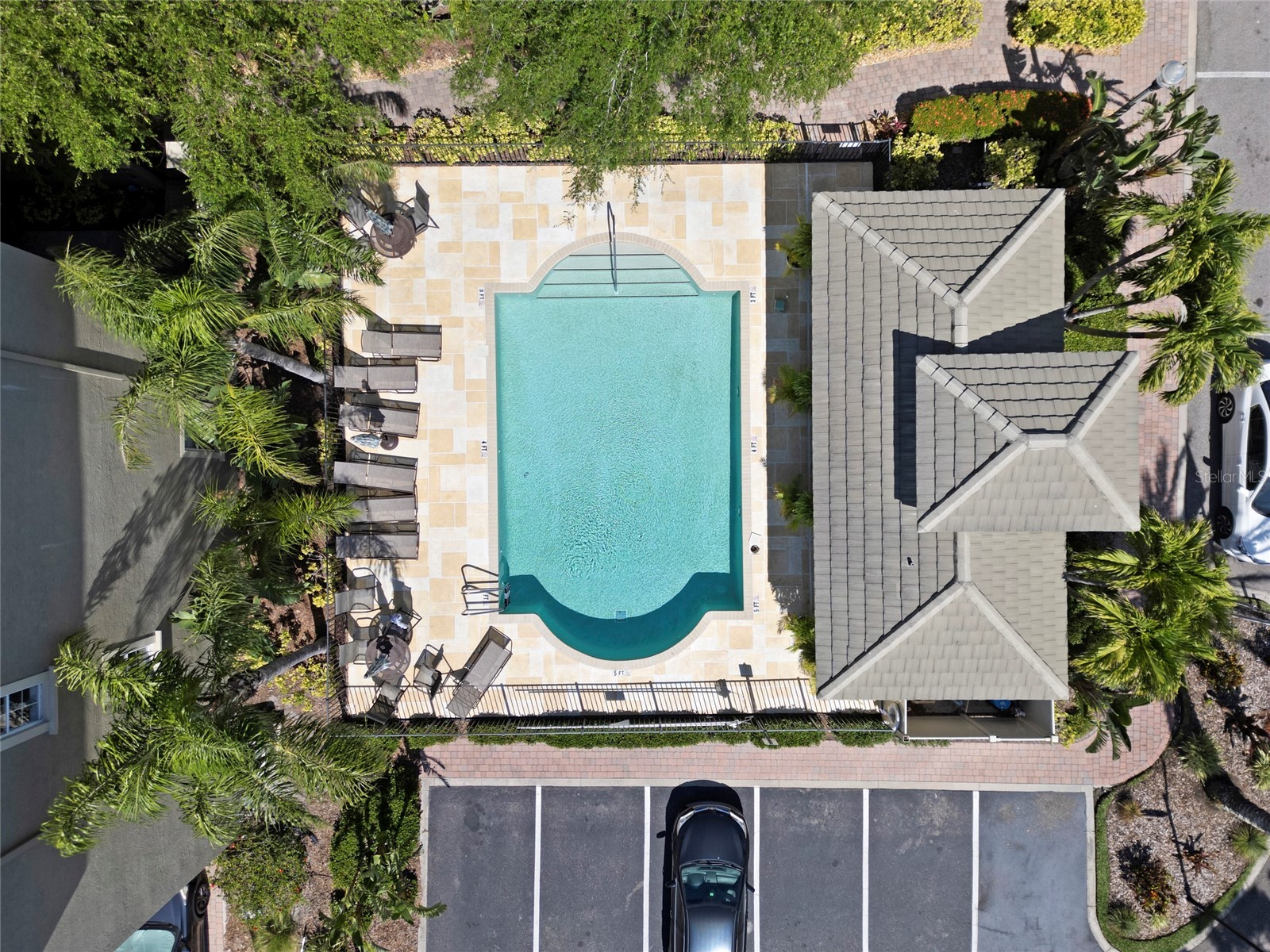 7240 102nd Lane Seminole FL 33772 TB8490050 image21
