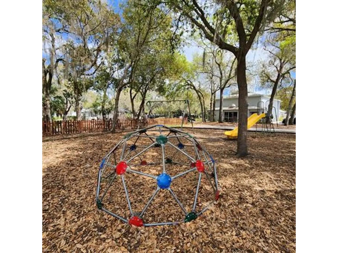 7240 E Bank Drive #204 Tampa FL 33617 TB8474785 image19