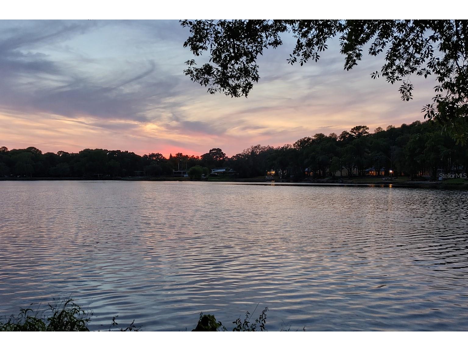 7240 E Bank Drive #204 Tampa FL 33617 TB8474785 image9