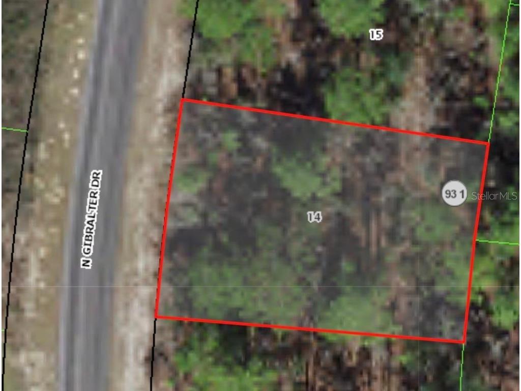 7241 N Gibralter Drive Citrus Springs FL 34434 A4578649 image1