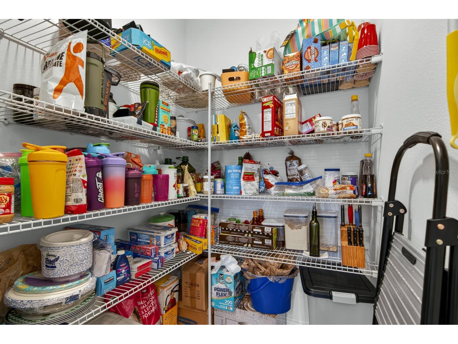 7241 Notched Pine Bend Wesley Chapel FL 33545 TB8509260 image21