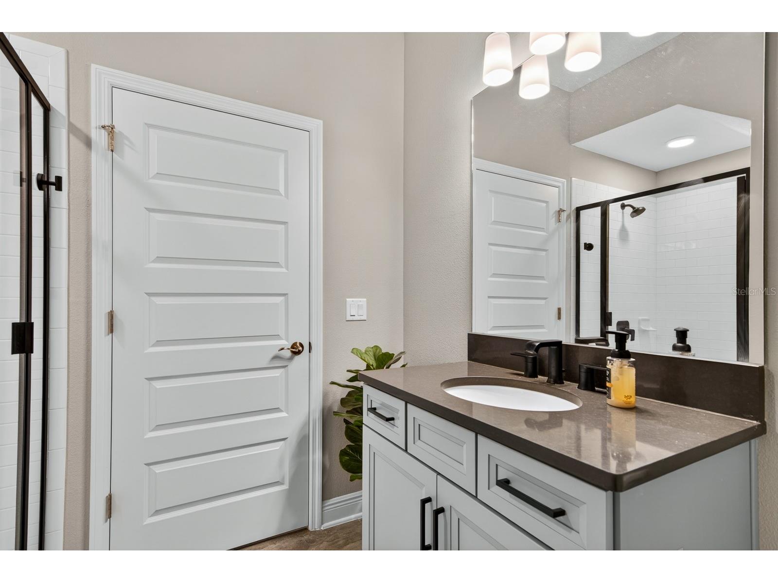 7241 Notched Pine Bend Wesley Chapel FL 33545 TB8509260 image25