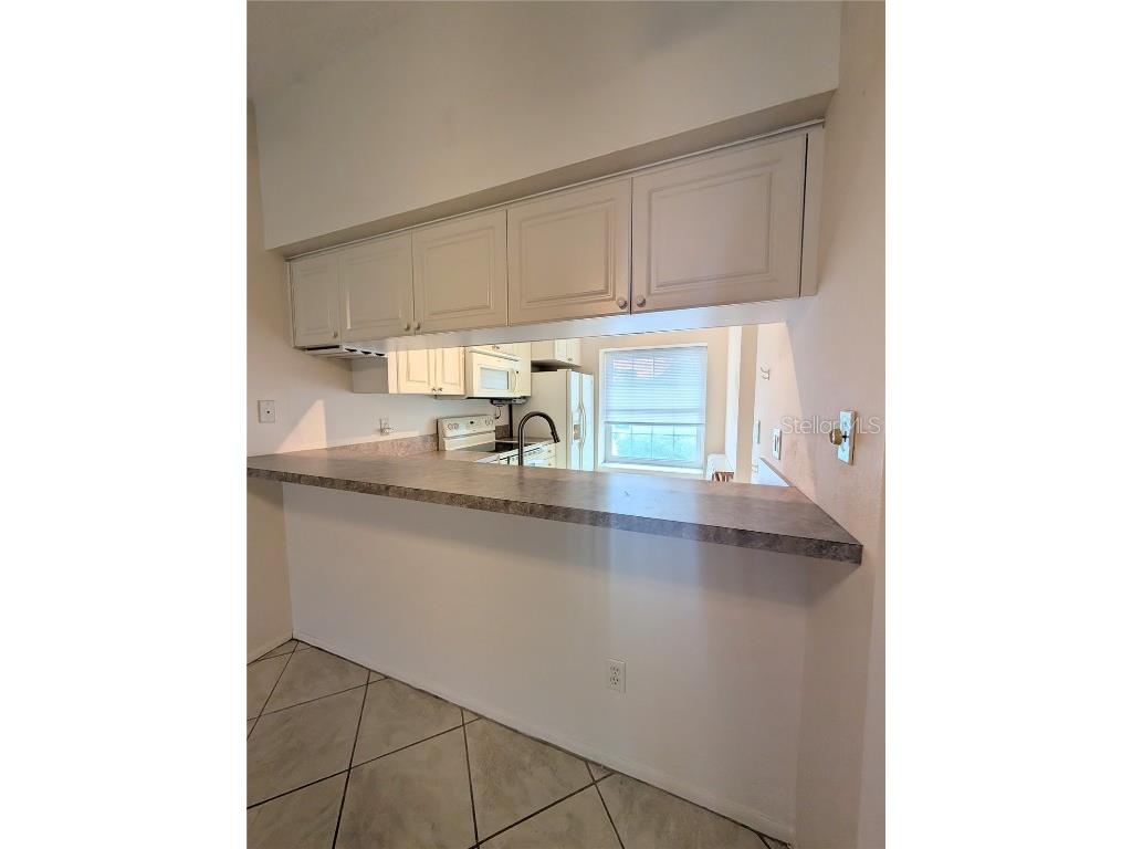 7241 Parkside Villas Drive N Saint Petersburg FL 33709 TB8447198 image9