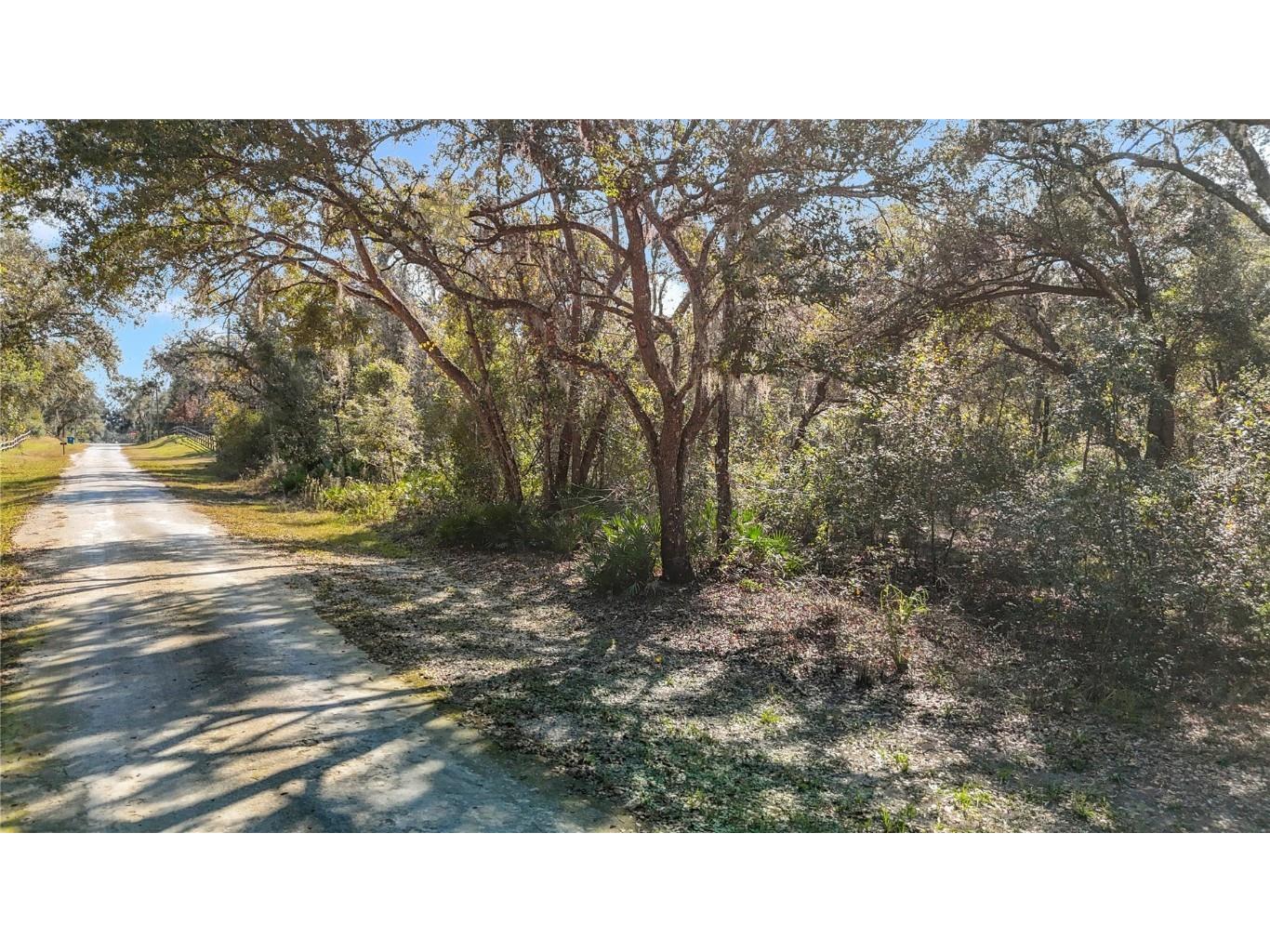 7241 Sonia Avenue Webster FL 33597 TB8326838 image10