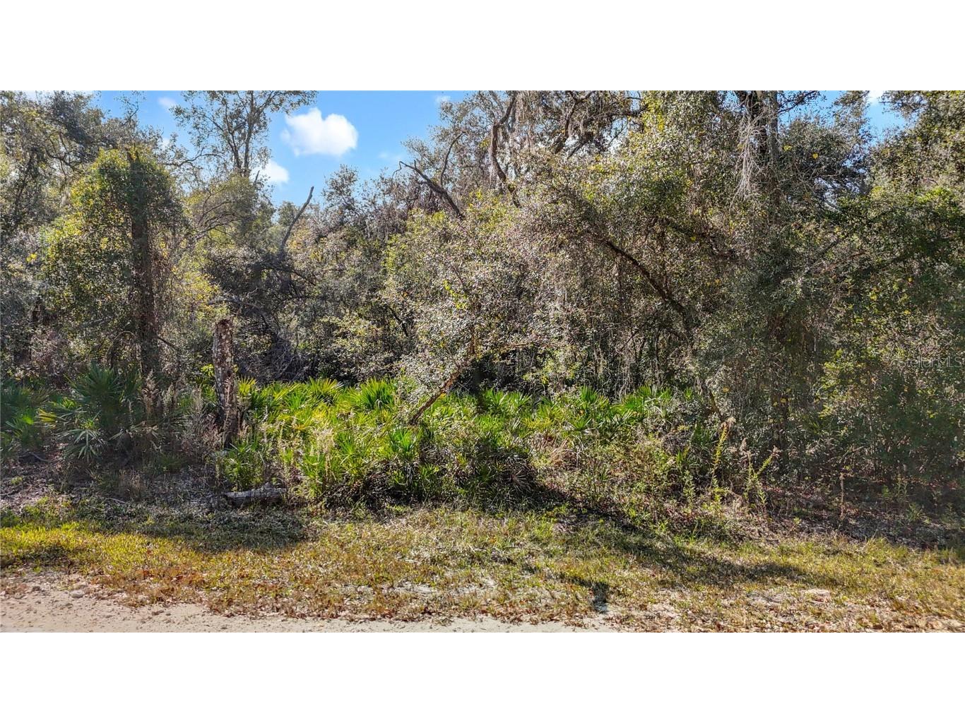 7241 Sonia Avenue Webster FL 33597 TB8326838 image11