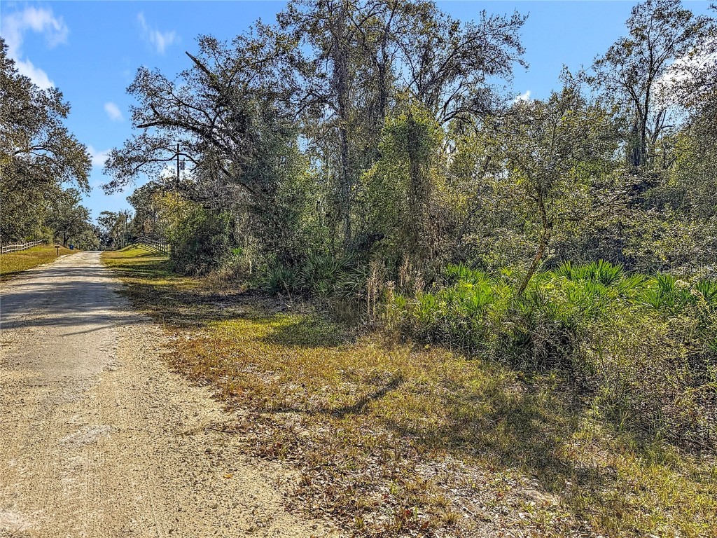 7241 Sonia Avenue Webster FL 33597 TB8326838 image14