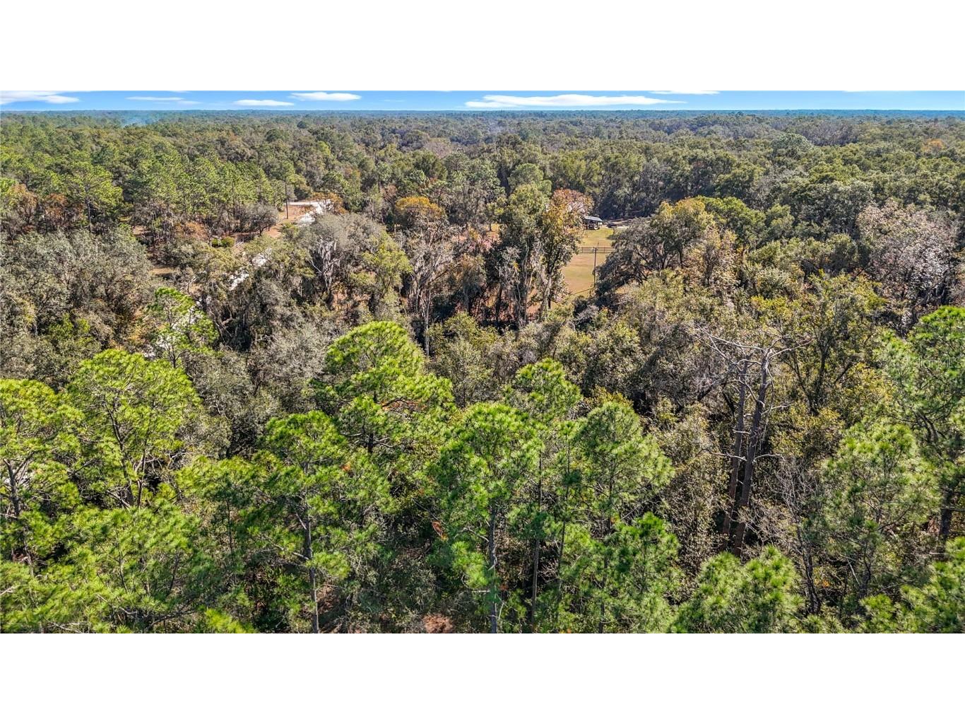 7241 Sonia Avenue Webster FL 33597 TB8326838 image15