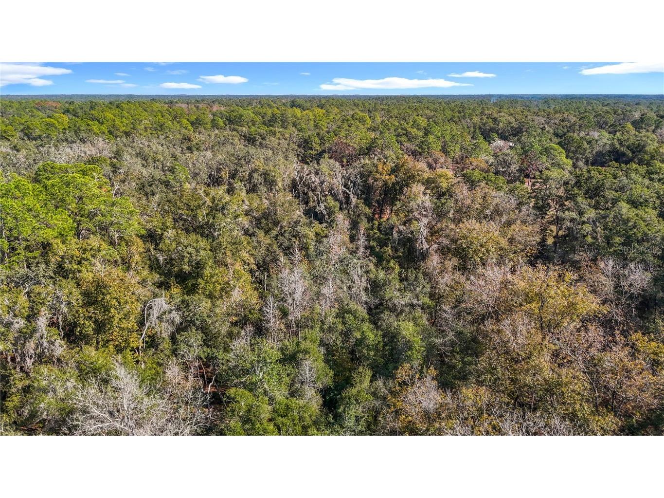 7241 Sonia Avenue Webster FL 33597 TB8326838 image16