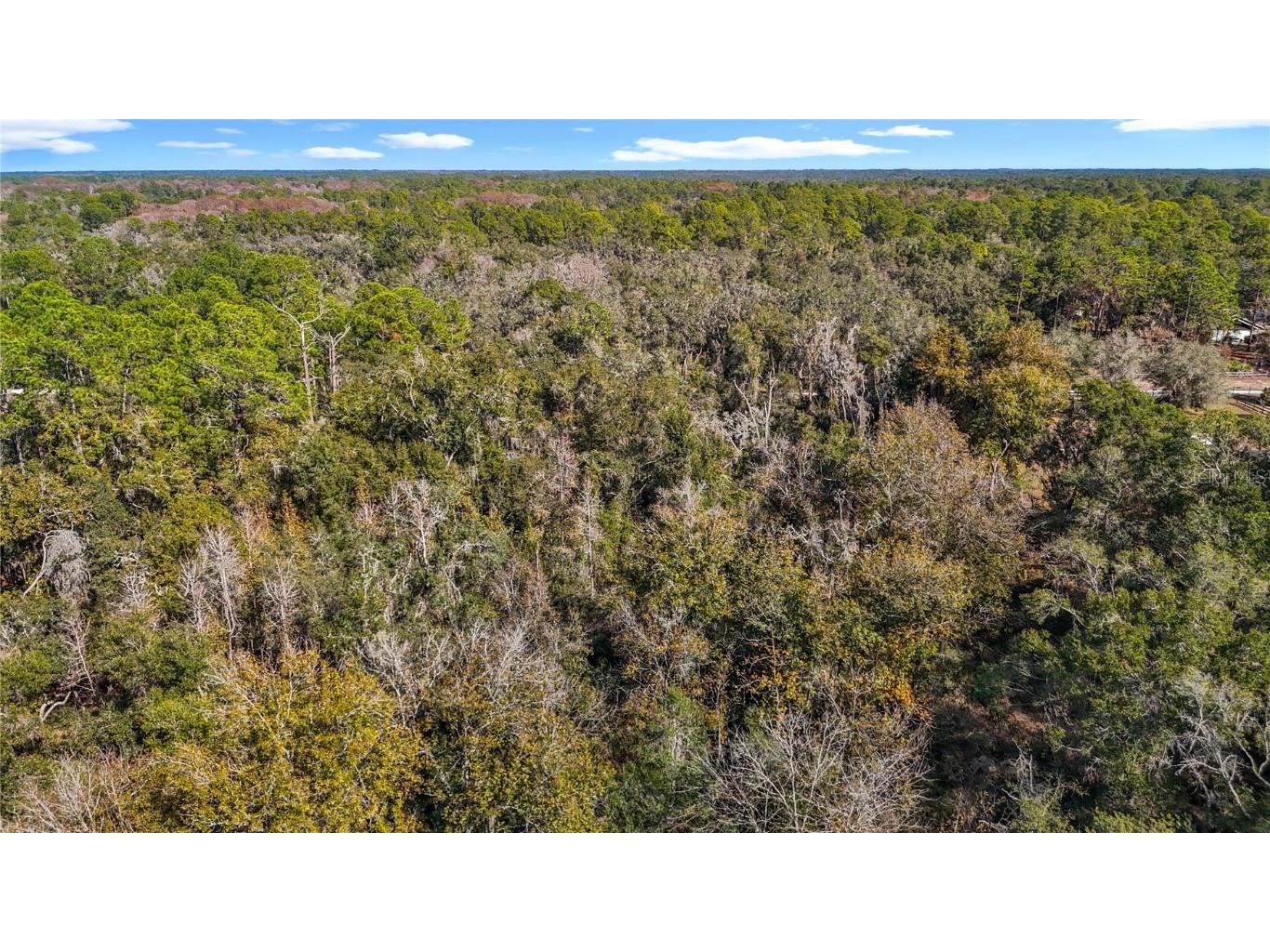 7241 Sonia Avenue Webster FL 33597 TB8326838 image17