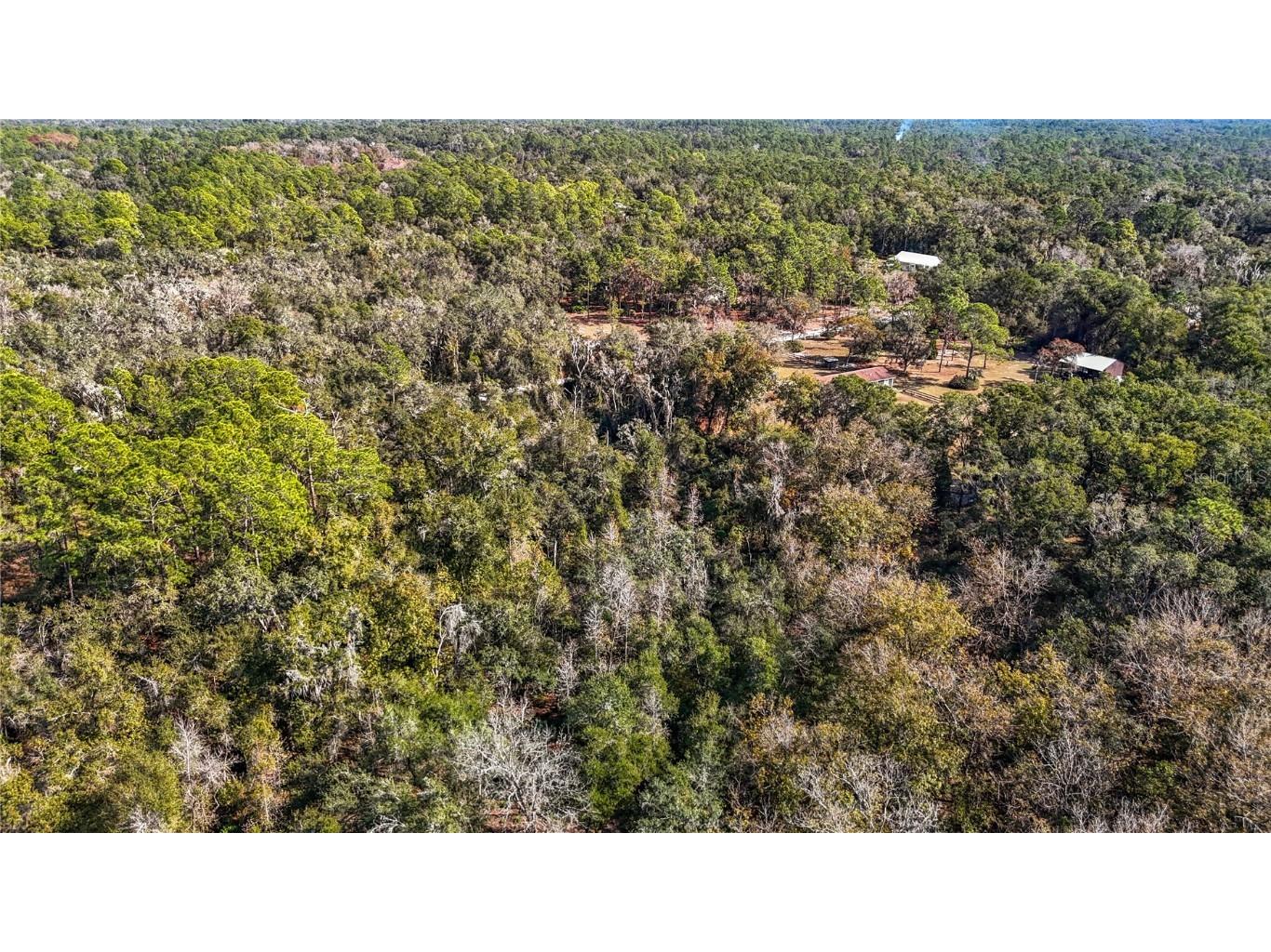 7241 Sonia Avenue Webster FL 33597 TB8326838 image18