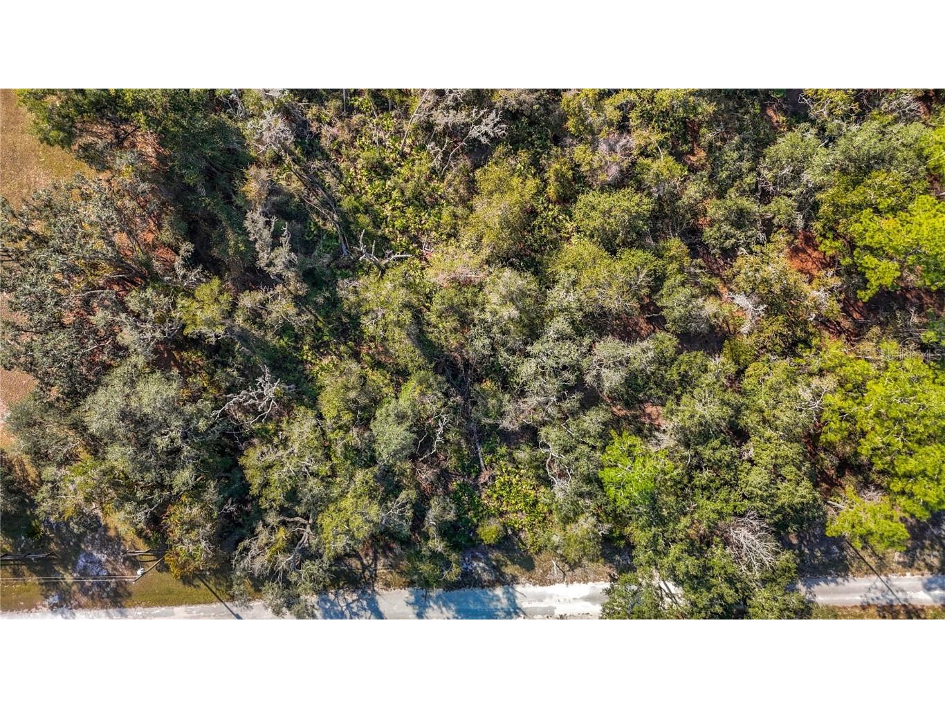 7241 Sonia Avenue Webster FL 33597 TB8326838 image19