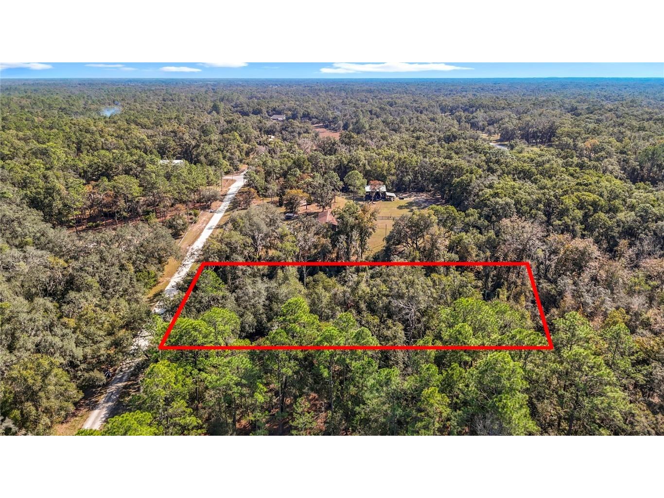 7241 Sonia Avenue Webster FL 33597 TB8326838 image2