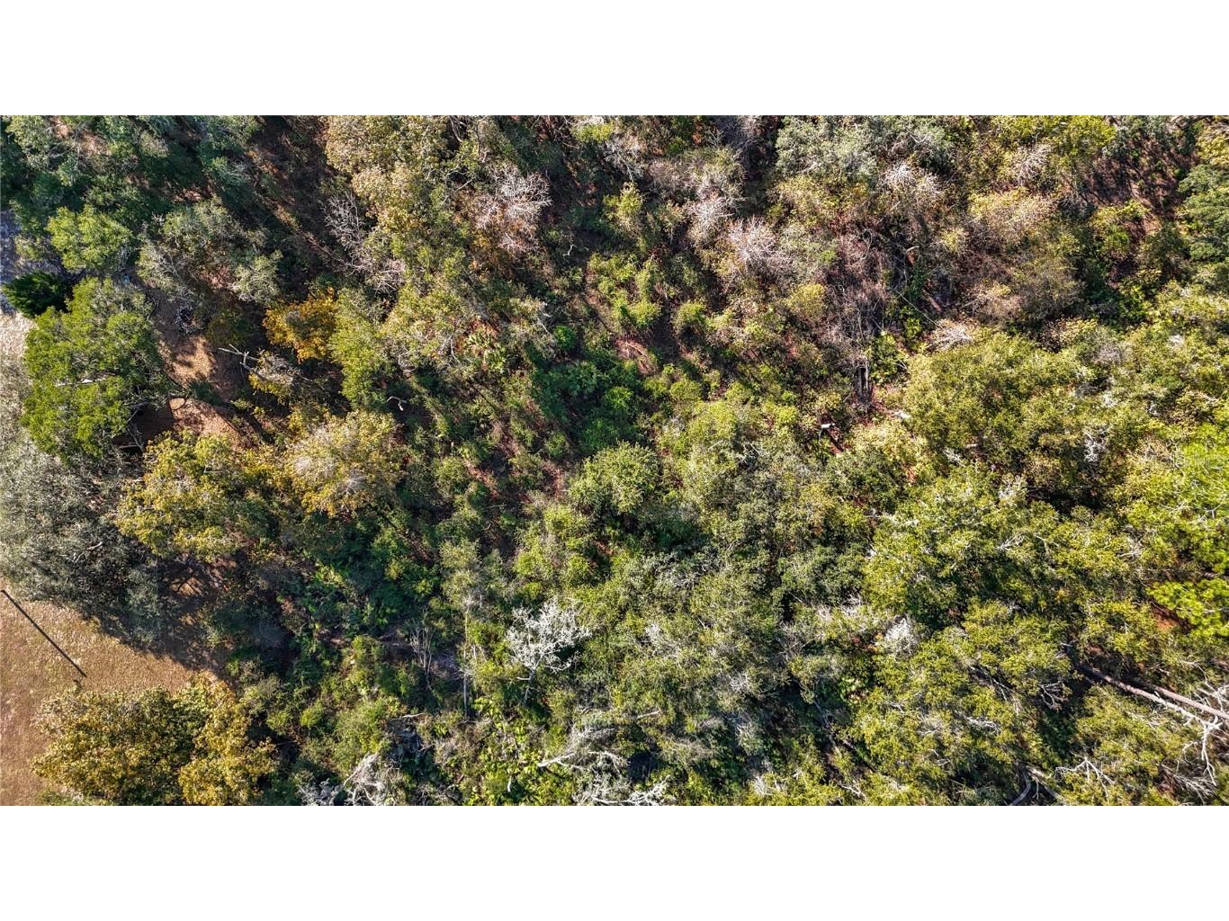 7241 Sonia Avenue Webster FL 33597 TB8326838 image20