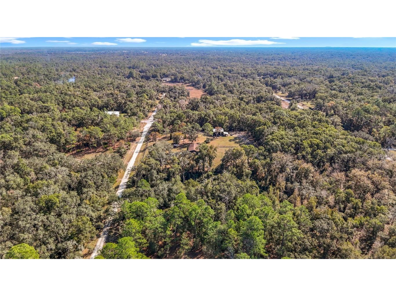 7241 Sonia Avenue Webster FL 33597 TB8326838 image21