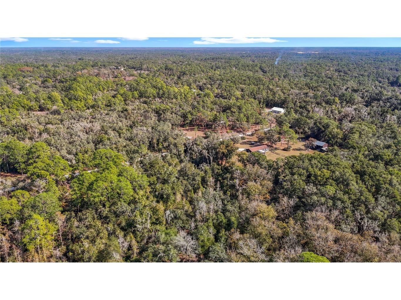 7241 Sonia Avenue Webster FL 33597 TB8326838 image22