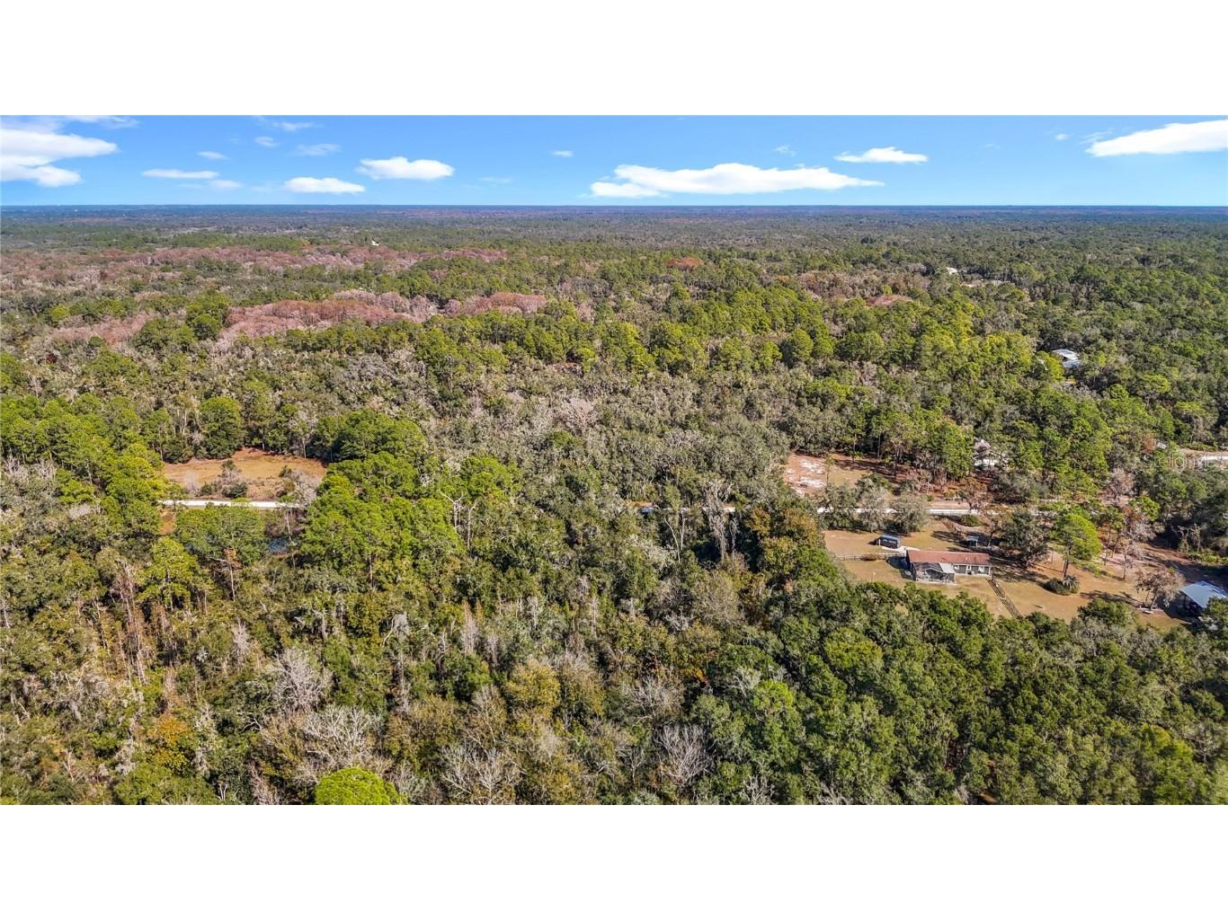 7241 Sonia Avenue Webster FL 33597 TB8326838 image23