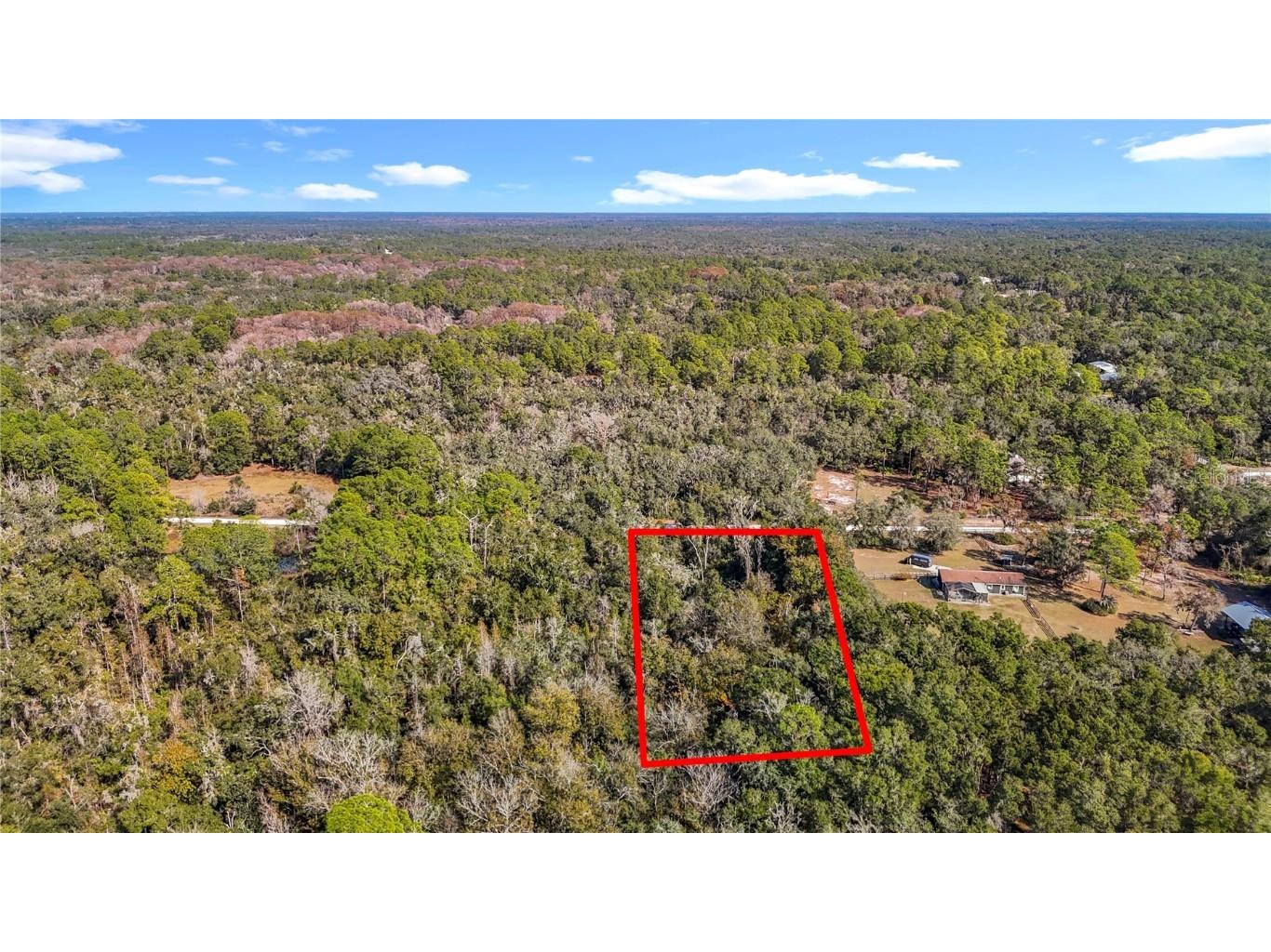 7241 Sonia Avenue Webster FL 33597 TB8326838 image3