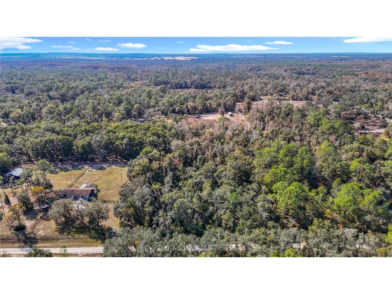 7241 Sonia Avenue Webster FL 33597 TB8326838 image4