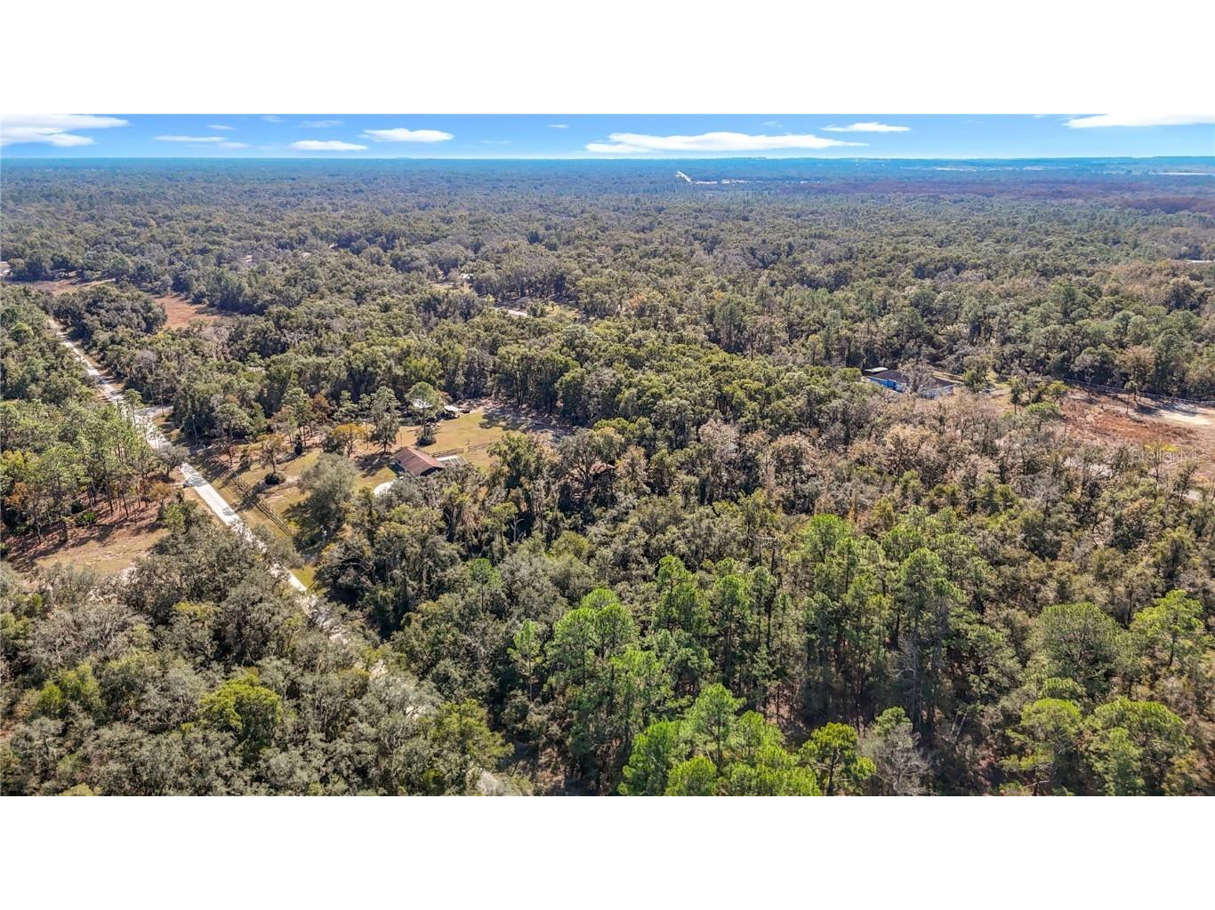 7241 Sonia Avenue Webster FL 33597 TB8326838 image5