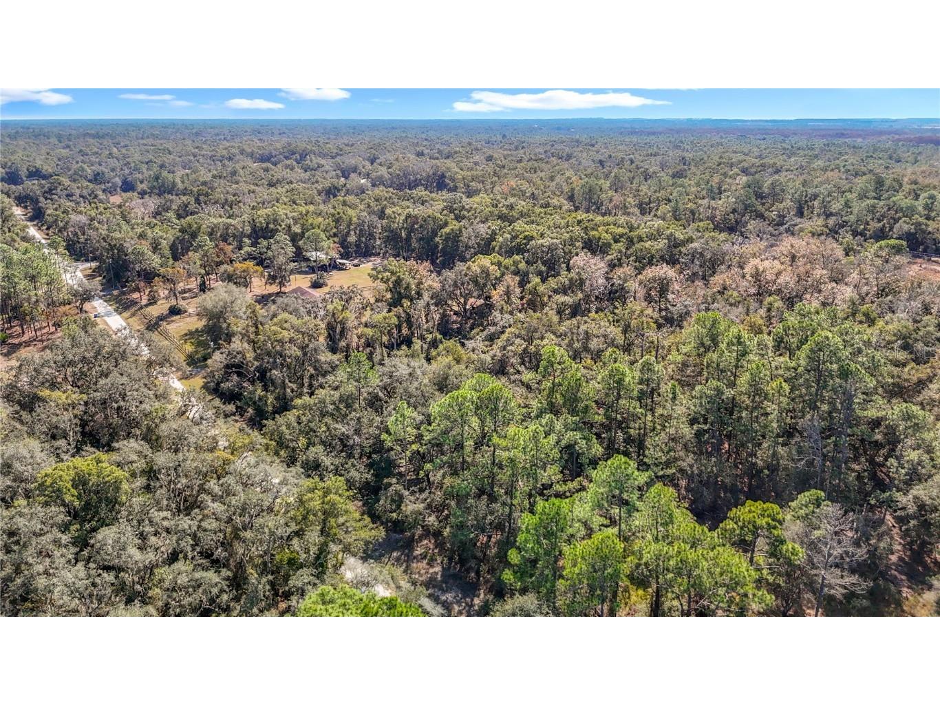 7241 Sonia Avenue Webster FL 33597 TB8326838 image6