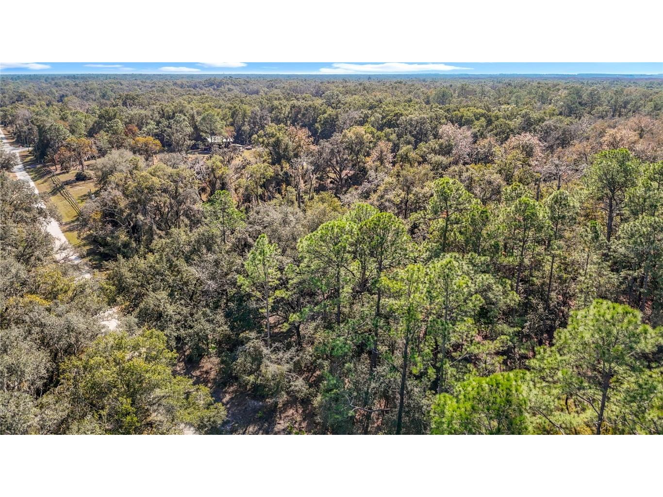 7241 Sonia Avenue Webster FL 33597 TB8326838 image7