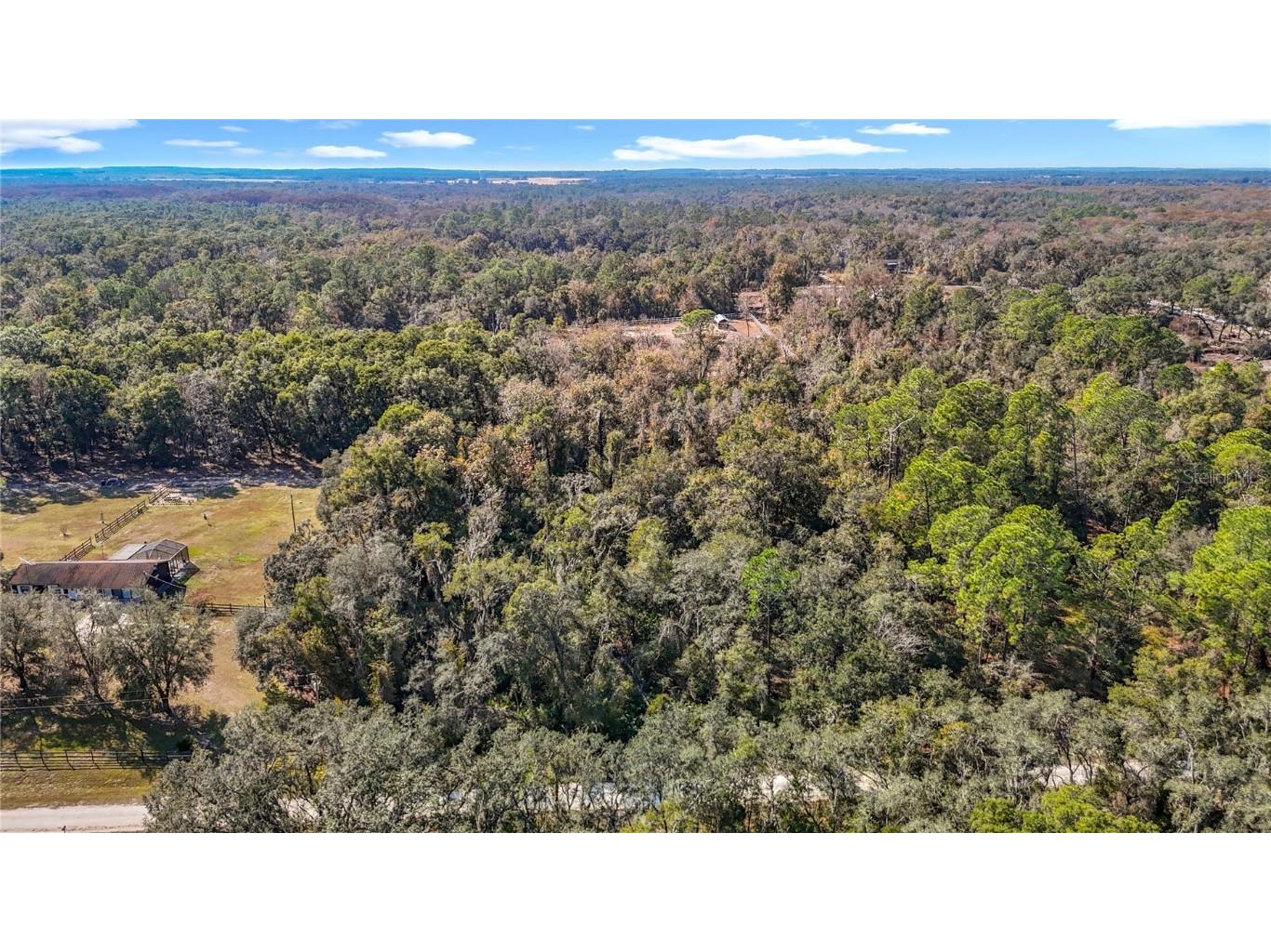 7241 Sonia Avenue Webster FL 33597 TB8326838 image8