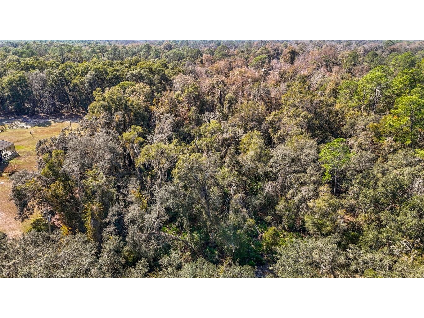 7241 Sonia Avenue Webster FL 33597 TB8326838 image9