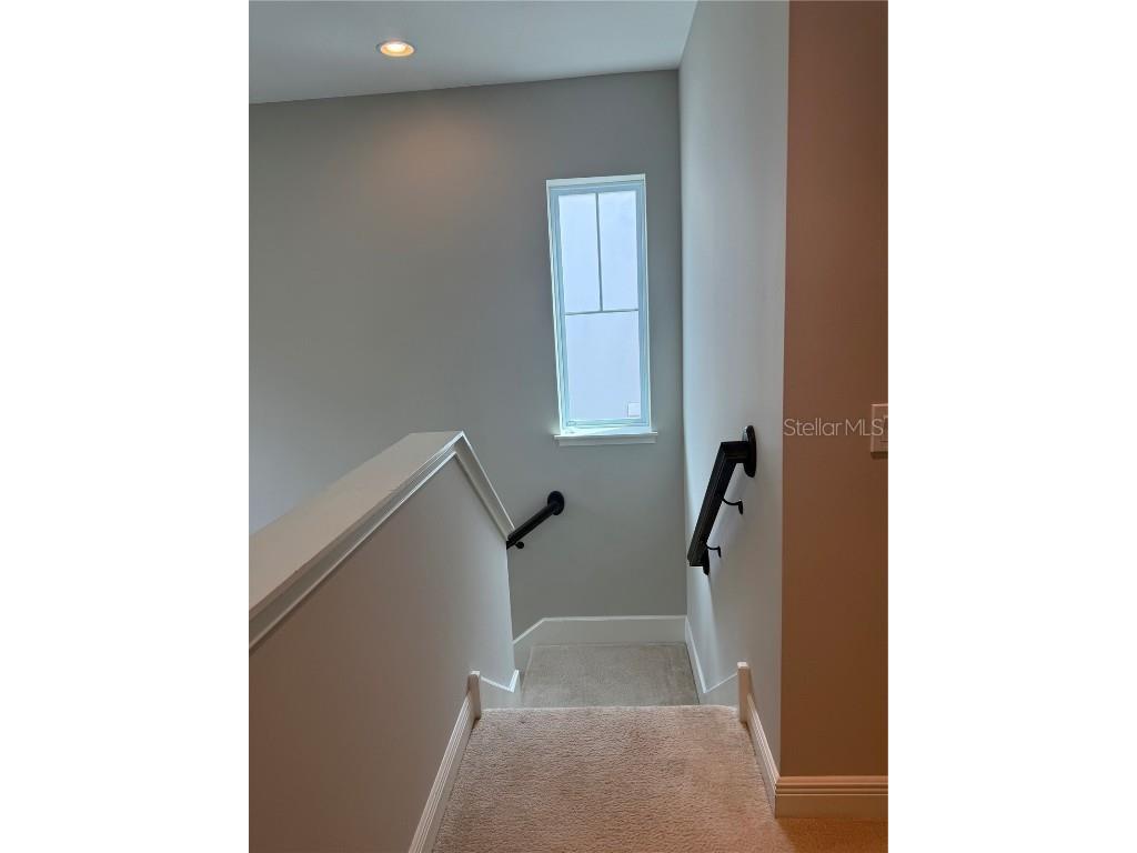 7241 Sunny Meadow Alley Windermere FL 34786 S5133848 image11