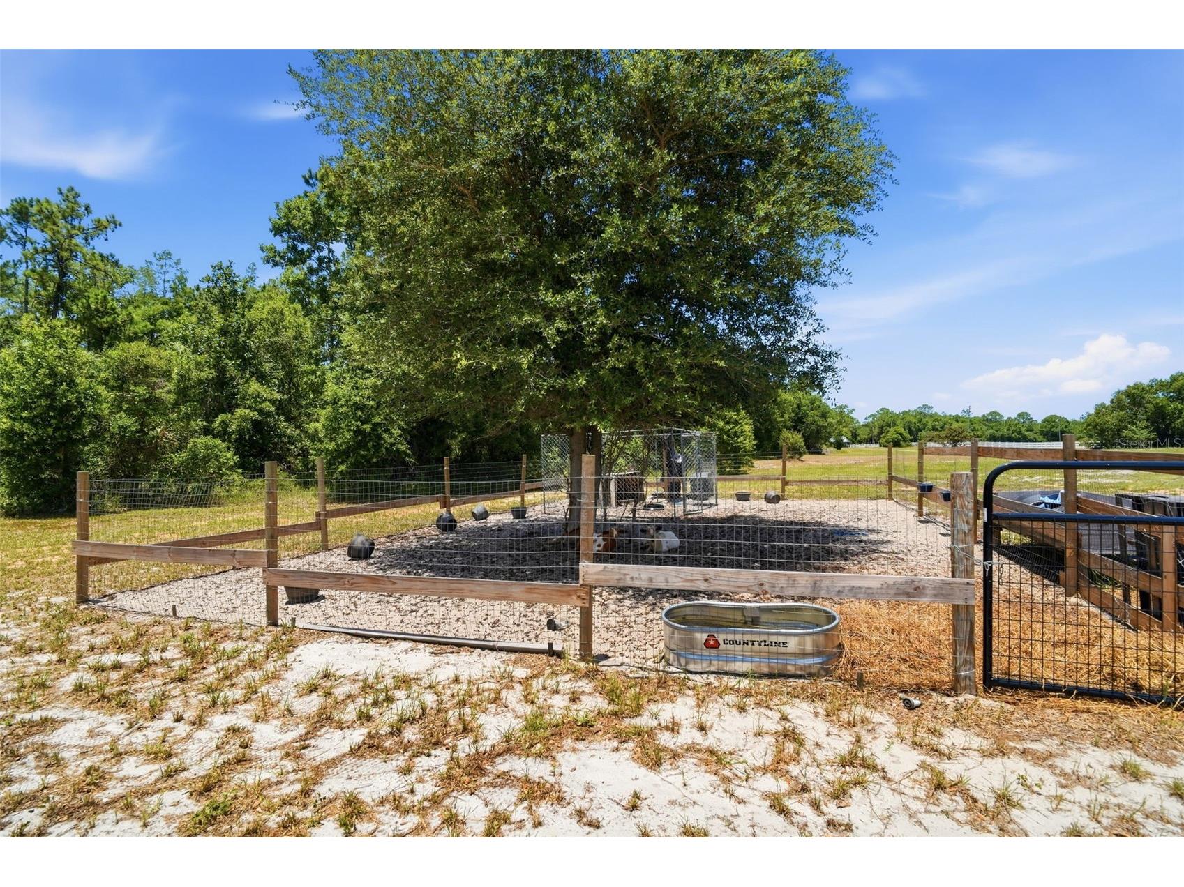 7242 Black Road Lake Wales FL 33898 O6414919 image26