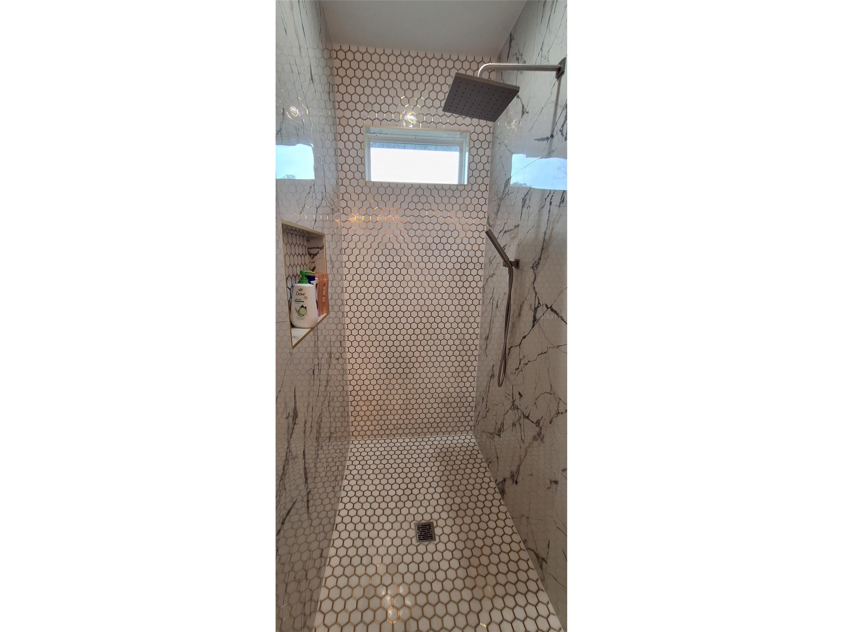 7242 Elaine Drive Webster FL 33597 TB8494121 image28